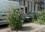 Nieuwezijds Voorburgwal (thv nr. 280). VERDWENEN
              <br/>
              Marcel Westhoff, juni 2017